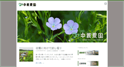 Desktop Screenshot of nakayabu.com